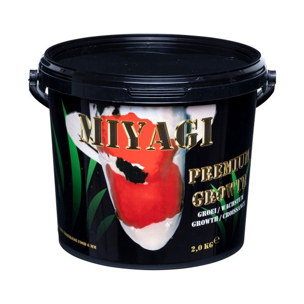 Miyagi Premium Growth 800g - Gezonde Koi Groei & Darmgezondheid met Prebiotica